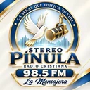 Stereo Pinula TV