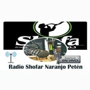 Radio Shofar