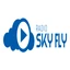 Radio Skyfly